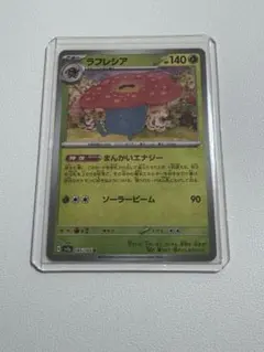 2025年最新】クサイハナ マスターボールの人気アイテム - メルカリ