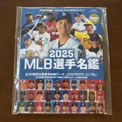 Item thumbnail for item 074501b4-d01b-4a4c-94cc-0593e71bde7a