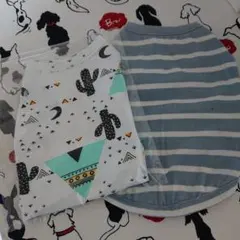 Item thumbnail for item b1d9c90b-adbb-41ad-9fa5-9b3e242c9546