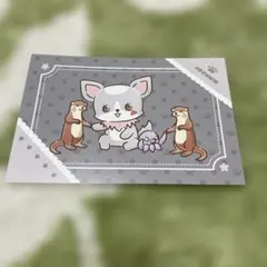JOCHUM ちゅらら　ポストカード