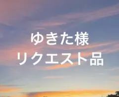 ゆきた様 リクエスト 2点 まとめ商品