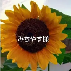 Item thumbnail for item 3337fa42-1289-47d4-aaa7-0f36090191ea