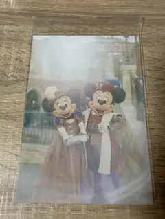 ディズニー イマジニングザマジック ミラコスタ 実写