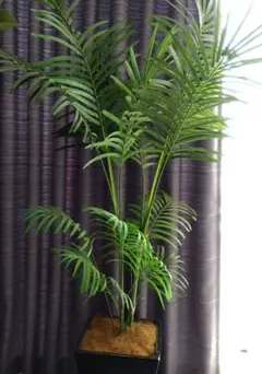 人工観葉植物 緑色 高さ約180cm*説明確認してください*のサムネイル