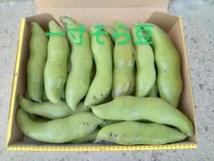 ナンシー様専用　和歌山産　 農薬不使用　 一寸そら豆　 お試しセット
