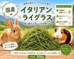 国産イタリアンライグラス【チモシー】　300g うさぎ　モルモット　おやつ　牧草のサムネイル