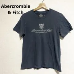 Abercrombie & Fitch ロゴ刺繍 Tシャツ 半袖 グレー S