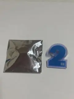 超特急 ペンライトアクセサリー カイ