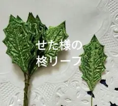 せた様の柊リーフ
