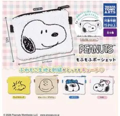 PEANUTS 刺繍ポーチ　ウッドストック