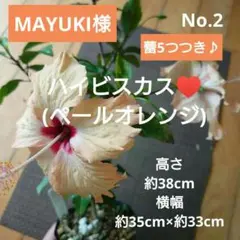 MAYUKI様 リクエスト 4点 まとめ商品