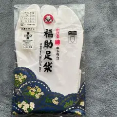 Item thumbnail for item d8041684-483f-4ae4-b993-41c92db1dff7