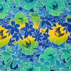 Item thumbnail for item 6f1d8c18-61da-4c87-8593-adb033281563