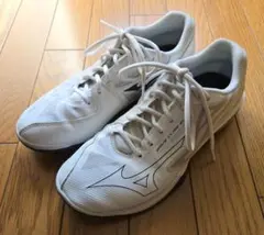 Mizuno ウエーブエクシードツアー5AC 27cm - メルカリ