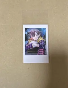 Crazy Raccoon CR セルフィーカード　② きなこ　kinako