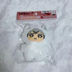 2025年最新】北信介 ぬいぐるみの人気アイテム - メルカリ