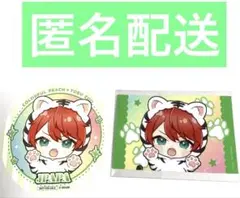 カラフルピーチ　東武動物公園　イルミネーション　後期　じゃぱぱ