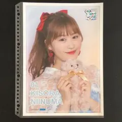 4654 つばきファクトリー 新沼希空 ピンナップポスター