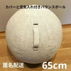 エレコム ベージュカバーと空気入れ付き バランスボール　65cmのサムネイル