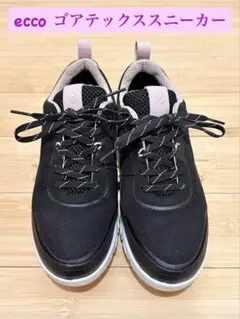 eccoマルチベント レデ イース GORETEXスニーカー 23.5cm 防水