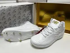 Item thumbnail for item 7100c80d-5536-4572-8818-75a805a8cedf