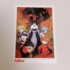 エヴァンゲリオン カルビー 限定 ポストカード シンジ レイ アスカ ミサト