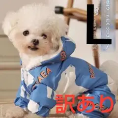 Item thumbnail for item 39eef304-1a68-42d4-af28-fae1a526d5aa