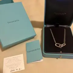 Tiffany & Co. ラージ ダブル リンク ペンダント