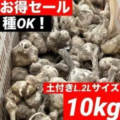 【お買い時】青森県産にんにく L.2Lバラ 10kg 福地ホワイト 家庭用 お得セール】新物 青森県産にんにく 土付きL.2Lサイズ10kg 福地