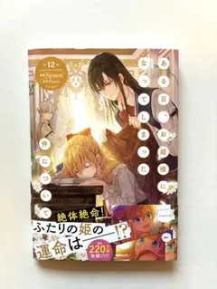 Item thumbnail for item 76f5f078-48f8-455e-a21c-925107cc7ad7