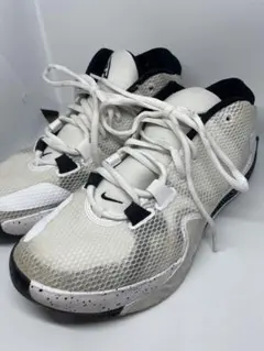 Nike zoom freak1ズームフリーク1 バイユー白灰　28.0cm新品 ZOOM FREAK 1 BY YOU - スニーカーショップSKIT