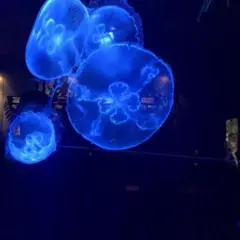 KATY様