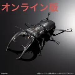 マンディブラリスフタマタクワガタ標本超特大 マンディブラリスフタマタクワガタ標本超特大 - メルカリ