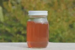 【熊本県産500g】純粋はちみつ　日本ミツバチ　天然 非加熱 希少