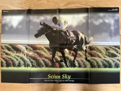 セイウンスカイ ポスター サラブレ 競馬 Seiun Sky