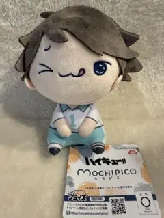 ハイキュー!! もちぴこぬいぐるみ6 及川徹　①