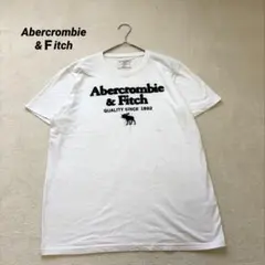 Abercrombie & Fitch Tシャツ メンズM ホワイト ビッグロゴ