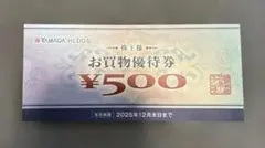 YAMADA HLDGS. お買物優待券 ¥500