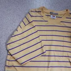 【美品】SHIPS　FRUIT of THE LOOM　ボーダーTシャツ　黄色