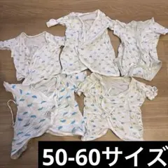 Item thumbnail for item 6ccf9081-d0ff-4b5c-abf8-bb153020798f