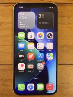 Apple iPhone 12 Pro 本体