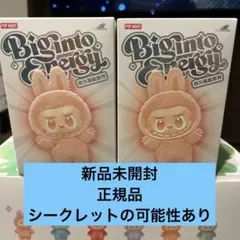 2025年最新】labubu シークレットの人気アイテム - メルカリ
