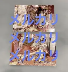 真天地開闢集団 ジグザグ 龍矢 チェキ+缶バッジ - メルカリ