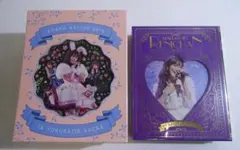 Item thumbnail for item ca6c6f18-799c-4766-9fac-2b88561ceb09