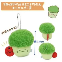 まこまこ様 リクエスト 2点 まとめ商品