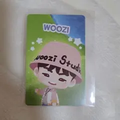 ウジ パズチ セブチ トレカ SEVENTEEN Holiday