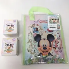 ディズニーランド 新エリア レジャーシート フィギュア