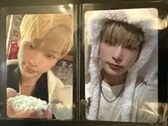 &TEAM HARUA はるあアニマルトレカ　andteam yukiakari