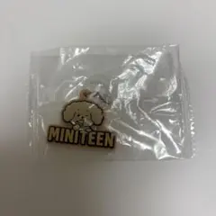 seventeen ミニティーン めじるしアクセサリー ドア ドギョム