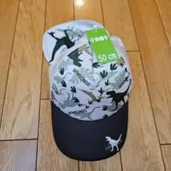 Item thumbnail for item 2260c5c2-dcbb-49e6-b752-f578f968541f